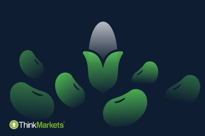 What is futures trading?